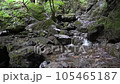 棒ノ折山ハイキングコースにある白谷沢 105465187