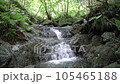 棒ノ折山ハイキングコースにある白谷沢 105465188