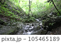 棒ノ折山ハイキングコースにある白谷沢 105465189
