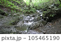棒ノ折山ハイキングコースにある白谷沢 105465190
