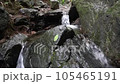 棒ノ折山ハイキングコースにある白谷沢 105465191