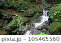 棒ノ折山ハイキングコースにある白谷沢 105465560