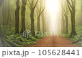 Fantastic forest road 105628441