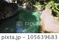 【長野県】エメラルドグリーンの清流、阿寺渓谷の空撮 105639683