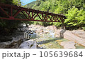 【長野県】エメラルドグリーンの清流、阿寺渓谷の空撮 105639684