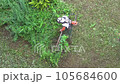 The gardener cuts the grass with lawn string trimmer outdoors. Man trimming grass in the garden using mower. Lawn mower worker cutting weed. Male worker with power tool brush 105684600