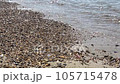 The beach of the beautiful transparent sea. 105715478