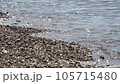 The beach of the beautiful transparent sea. 105715480