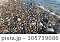 Black sea coast with pebble beach  105739086