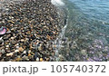 Black sea coast with pebble beach  105740372