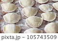 Traditional Ukrainian dish, dumplings sprinkled with flour, ready for cooking 105743509
