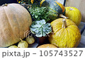 Orange pumpkins with Halloween symbols on windowsill cafe in Autumn sunny day 105743527