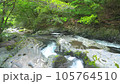 Namezawa Valley 7 in Izu City, Shizuoka Prefecture 105764510
