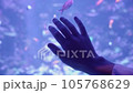 hand close-up blue, neon light from a huge aquarium with fish, unity with nature and animals, peacefulness 105768629