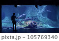 a man in an oceanarium, a silhouette of a man, an attempt to contact animals, a touch through the glass, a general plan 105769340