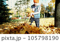 Kid having fun in autumn park with fallen leaves, throwing up leaf. Child boy outdoors playing with maple leaves. 105798190