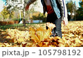 Kid having fun in autumn park with fallen leaves, throwing up leaf. Child boy outdoors playing with maple leaves. 105798192