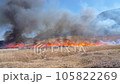 2023 Mountain burning of Sengokuhara pampas grass field in Hakone Town 3 105822269