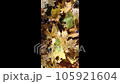 vetical top view of yellow fallen maple leaves in autumn 105921604