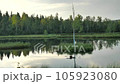 Swamp with peaceful water level in mysterious forest, young tree on island in middle. Fresh green color of herbs and grass, heavy clouds in sky 105923080