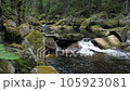 River named Otter, Vydra. The powerfull stream of the river in the Sumava Park pushes huge boulders down into the valley. 105923081