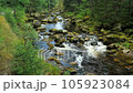 River named Otter, Vydra. The powerfull stream of the river in the Sumava Park pushes huge boulders down into the valley. 105923084