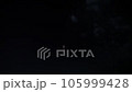 打上花火 105999428