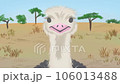 首を傾げるダチョウ 106013488