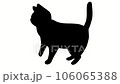 Walking cat silhouette 106065388