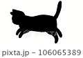 running cat silhouette 106065389