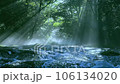 夏の絶景　幻想的な菊池渓谷の光芒 106134020