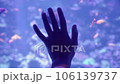 close-up of a human hand touching an aquarium, a person trying to get in touch with the animal world 106139737