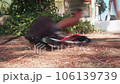 close-up of the legs of running children, chasing or playing, a lot of people 106139739