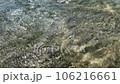 Red Sea's Energetic Shallow Waters: Currents Unveiled in Egypt 106216661