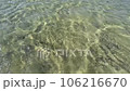 Enchanting Red Sea Underwater World with Swift Currents in Egypt 106216670