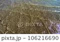 Dynamic Red Sea Currents in Egypt's Shallow Waters 106216690
