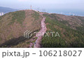 Cherry blossom road in Hwangryeongsan Mountain, Busan, South Korea, Asia 106218027