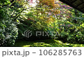 日本庭園上から下　ゆっくり 106285763