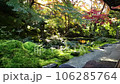 日本庭園と紅葉 106285764