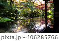 床にうつる紅葉と日本庭園 106285766