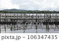 Oyster Farming with Cage made from Bamboo 106347435