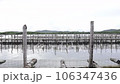 Oyster Farming with Cage made from Bamboo 106347436