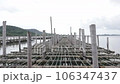 Oyster Farming with Cage made from Bamboo 106347437