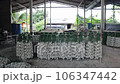 Expansive View of Cement Discs for Oyster Farming 106347442