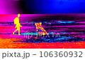 Man tourist walk on the beach, wavy sea in thermal camera film. Natural UV  radiation 106360932