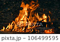 Bonfire. Burning wooden logs in red flame 106499595