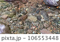 清澈的溪流和樹葉，河水流動 106553448