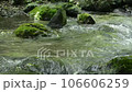Stream water flow 106606259