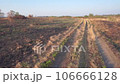 Burnt grass in the field 106666128