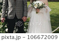 Bride and groom hold hands during the wedding ceremony 106672009